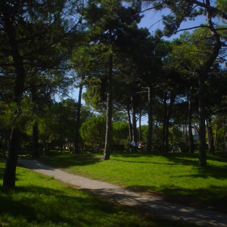 Residence Verdecasa - Appartamentino su 2 Livelli - 9