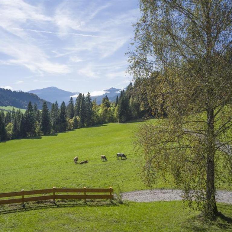 Bauernhof Hinterfirst - Apartamento con vistas a las montañas - 29