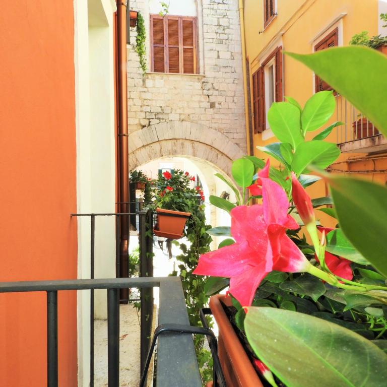 Arco Della Neve Guest House - Family Studio - 8