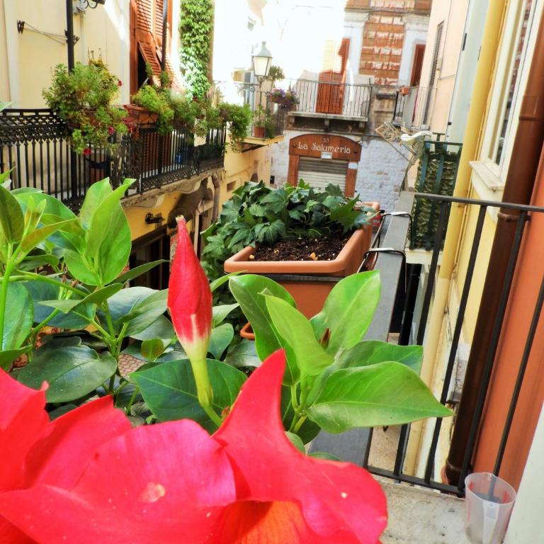 Arco Della Neve Guest House - Double or Twin Room - 15