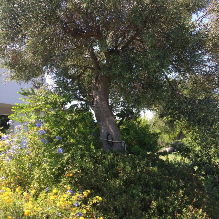 Nel Blu Dipinto Di Blu - Casa Vacanze - 20