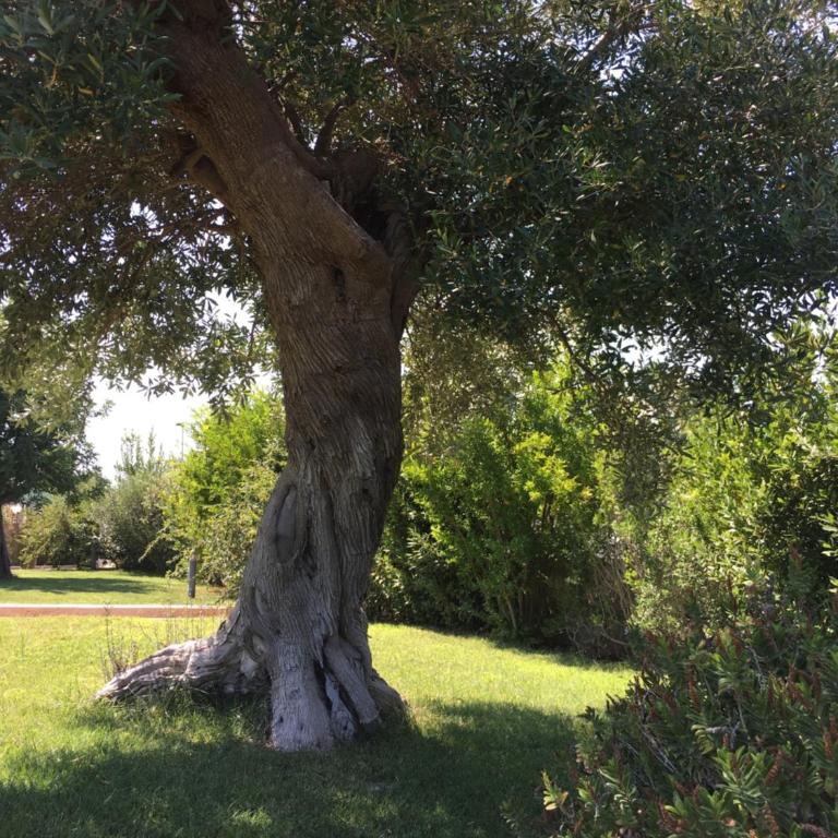 Nel Blu Dipinto Di Blu - Casa Vacanze - 17