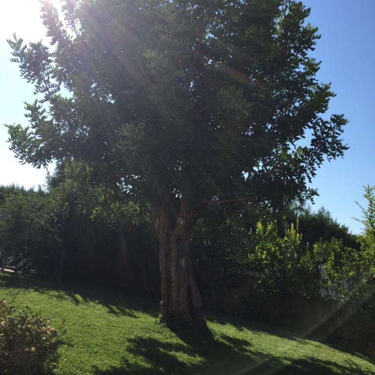 Nel Blu Dipinto Di Blu - Casa Vacanze - 12