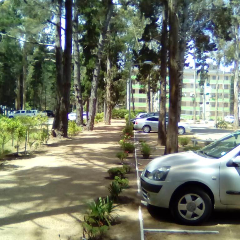 Departamento Bosques del Tabo - Two-Bedroom Apartment - 1