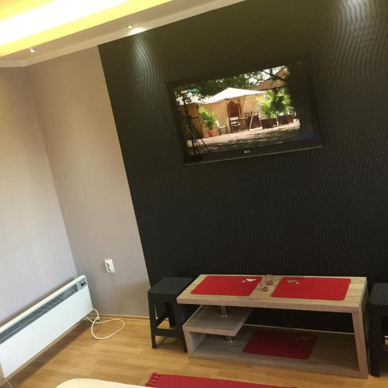 Apartmani Studio Stepanovic - Apartman sa 1 Spavaćom Sobom - 13