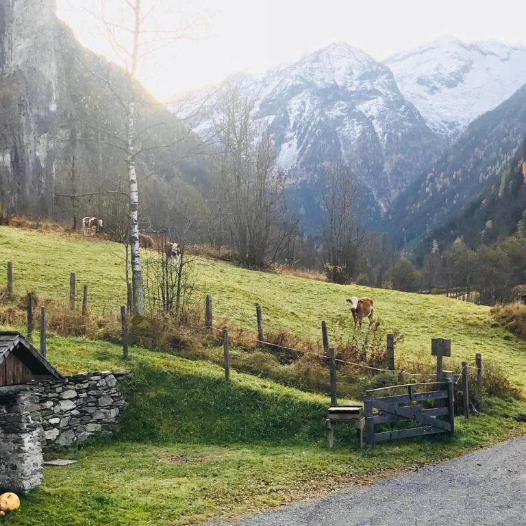 Malerwinkel, Forsthaus - Ferienhaus mit Bad - 26