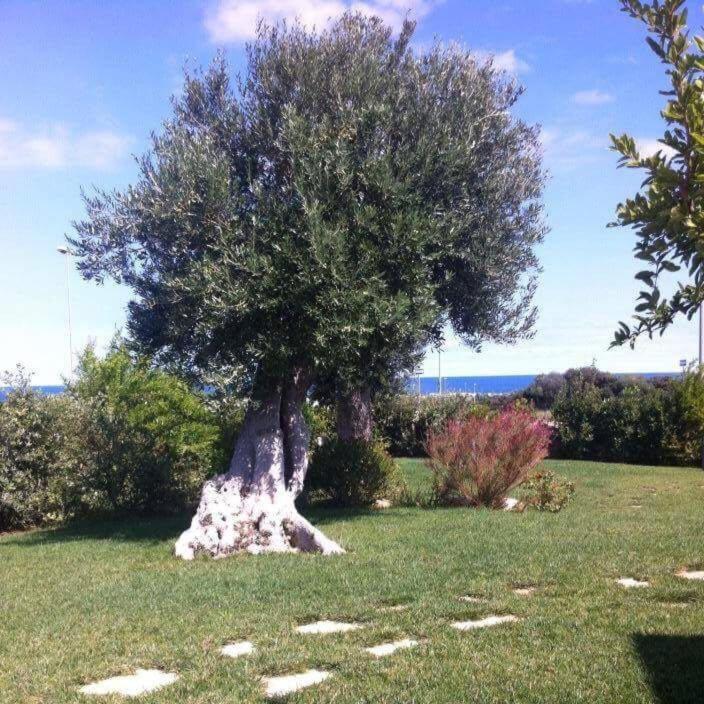 Nel Blu Dipinto Di Blu - Casa Vacanze - 10