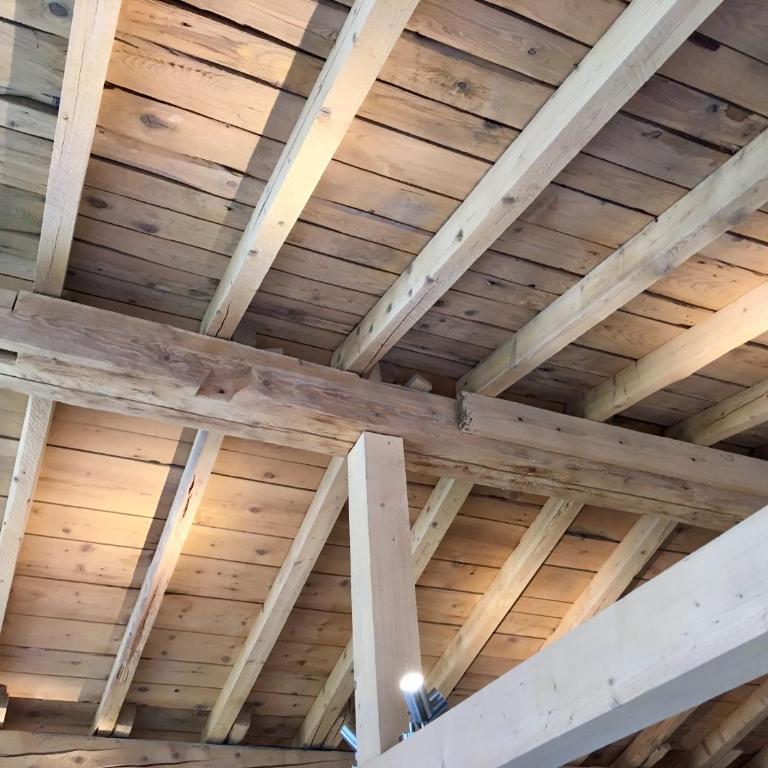 Chalet Marmotte M1 Penthouse for 8 - Superior Apartment - 6