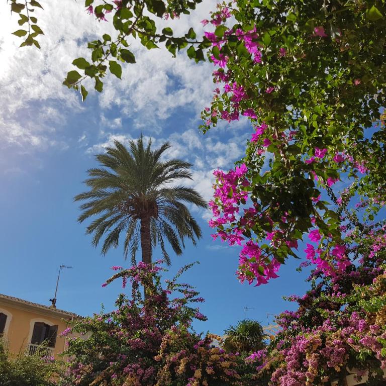 Cascadas de la Marina - Apartamento de 3 dormitorios - 29