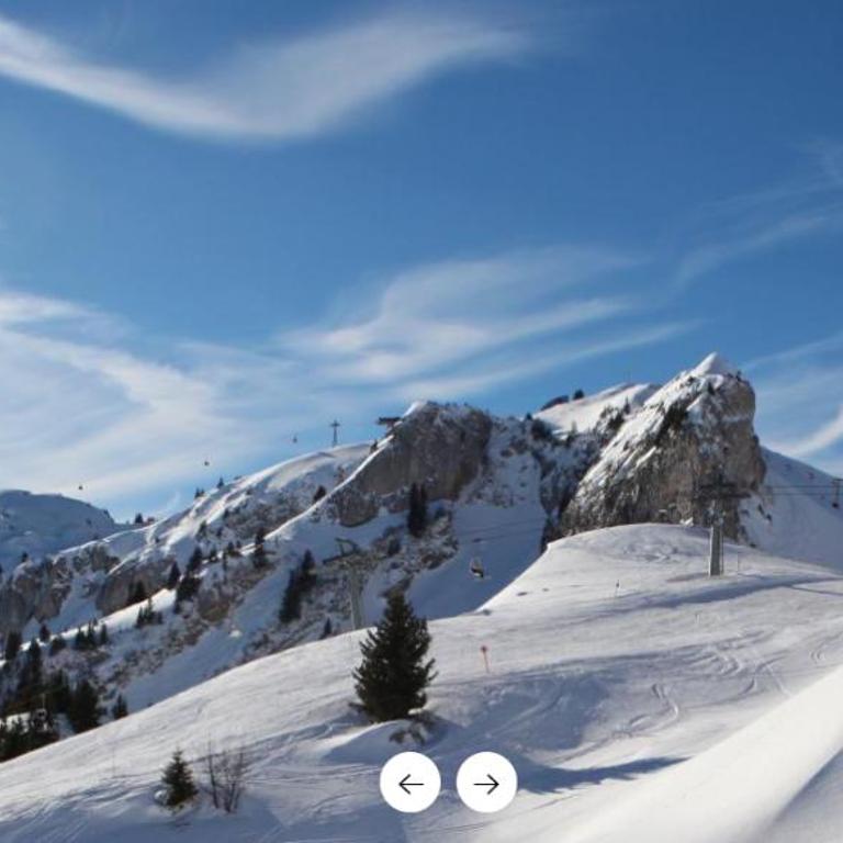 Apartment Leysin - Swiss Alps - Fully Renovated ! - Appartement - 26