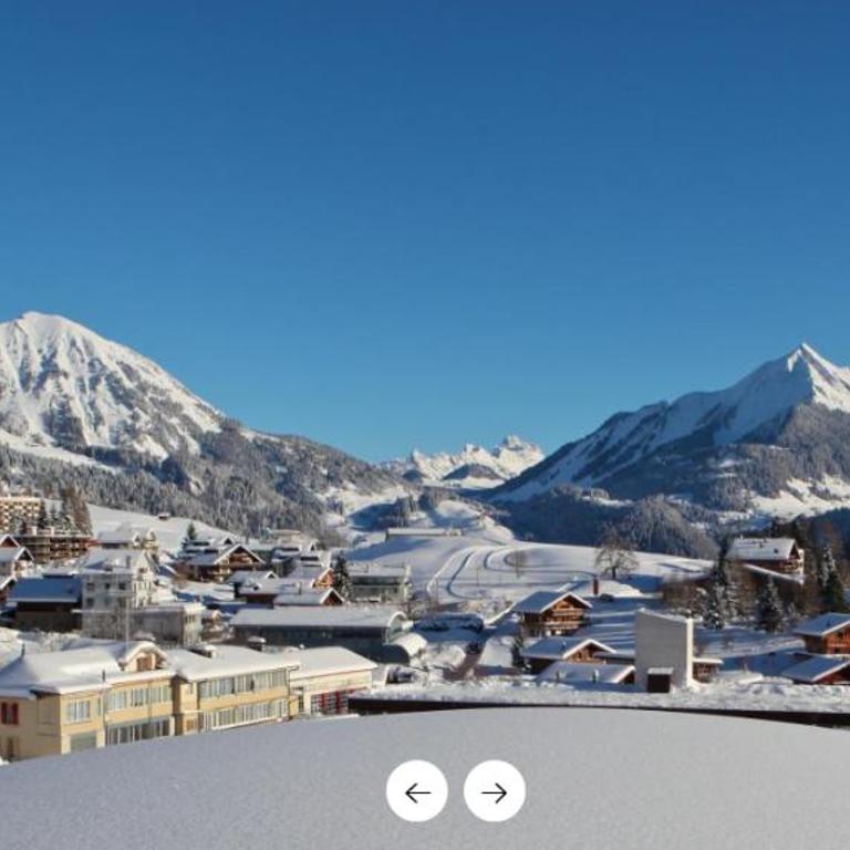 Apartment Leysin - Swiss Alps - Fully Renovated ! - Appartement - 29