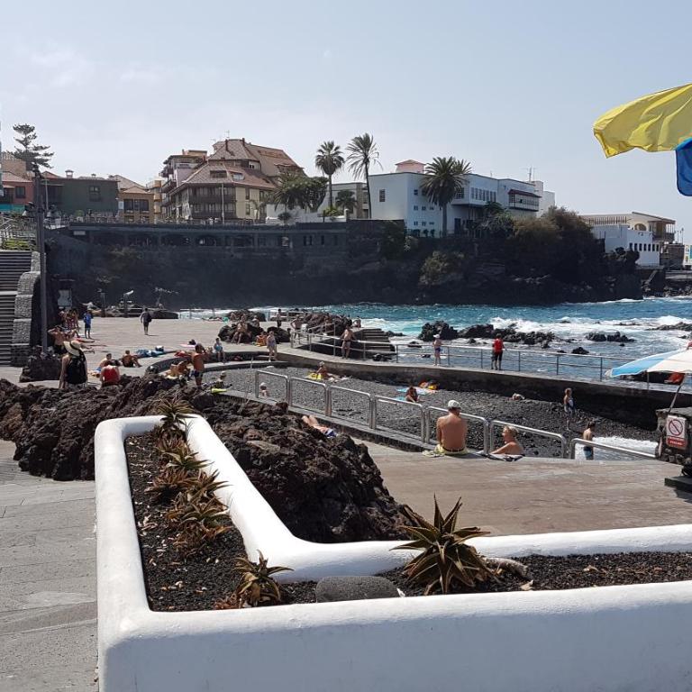 Rosmary - Apartamento - 74