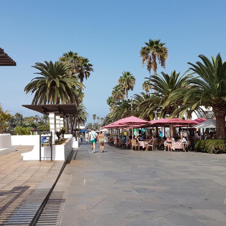 Rosmary - Apartamento - 72