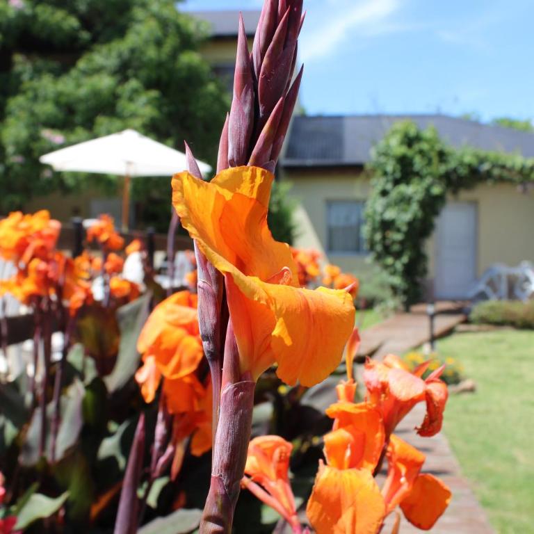 Luna de Artalaz Apartments - Apartamento - 19