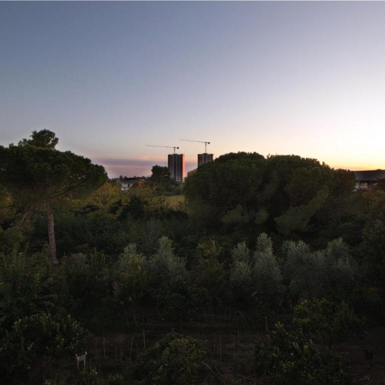 Appartamento in Villa - Appartamento con Vista Giardino - 13
