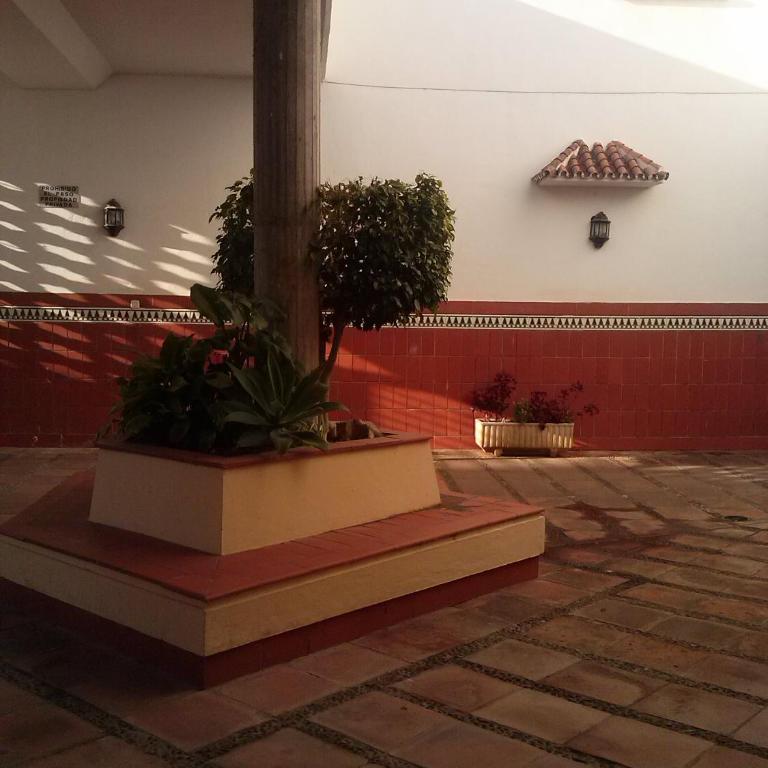 Apartamento Carihuela, Torremolinos - Apartamento - 12