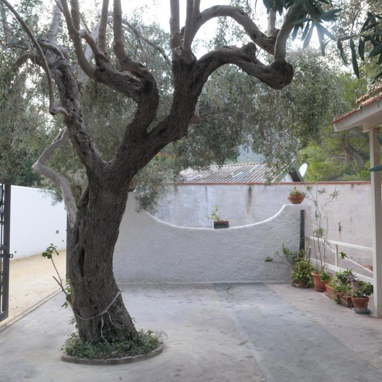 Cefalù Caldura house - Appartamento con 2 Camere da Letto - 33