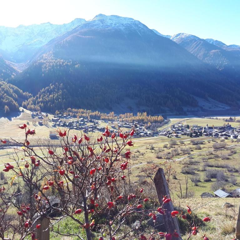 Alpensonne - Apartment mit Blick auf die Berge - 51