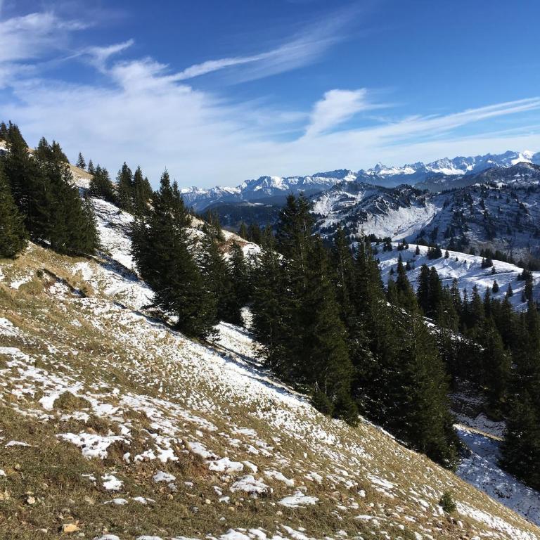 ALLGÄU HAUS - Appartamento con Terrazza - 33