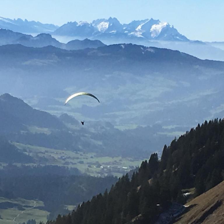 ALLGÄU HAUS - Appartamento con Terrazza - 30