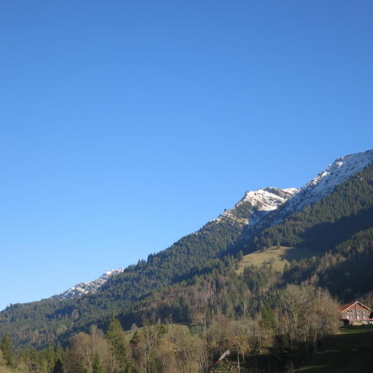 ALLGÄU HAUS - Appartamento con Terrazza - 38