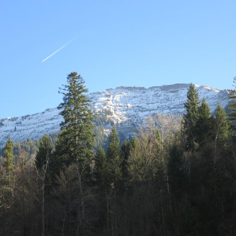 ALLGÄU HAUS - Appartamento con Terrazza - 31