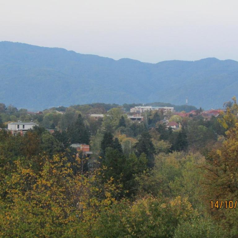 Debora Apartment - Apartman sa 1 Spavaćom Sobom - 22