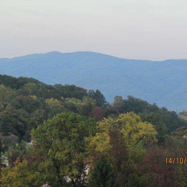 Debora Apartment - Apartman sa 1 Spavaćom Sobom - 24