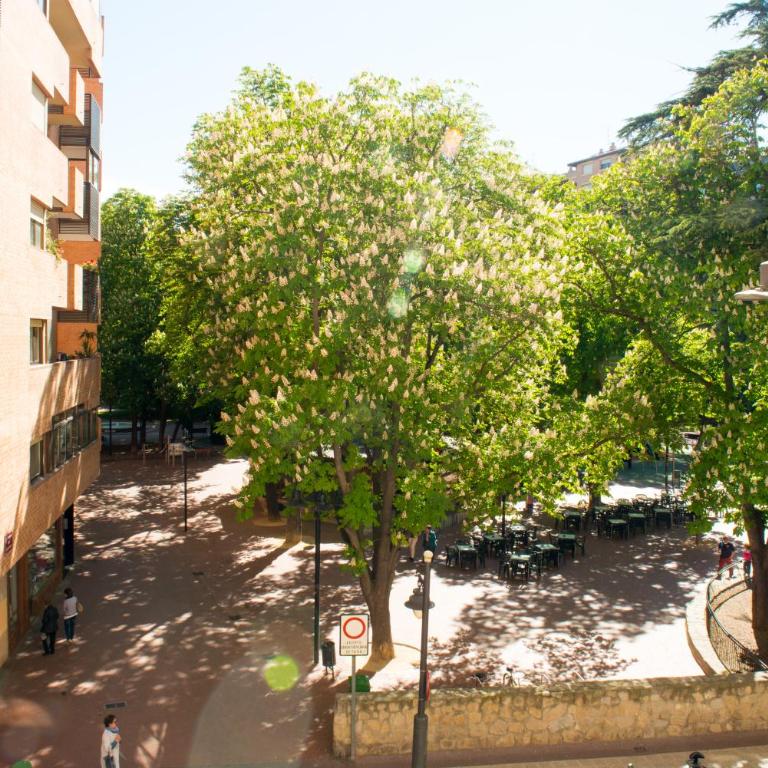 Parque del Carmen - Apartamento Superior - 27