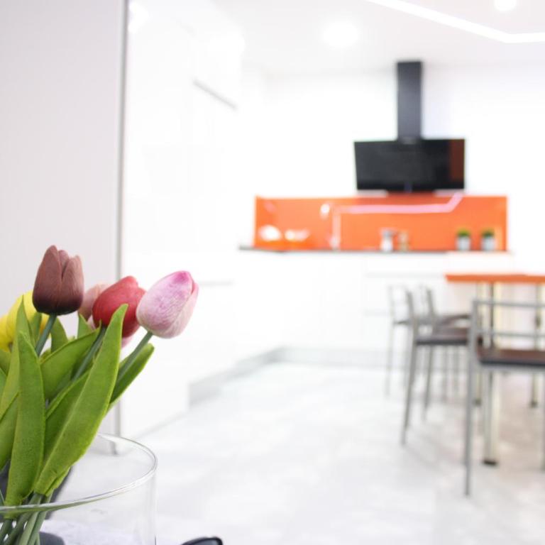 Smart Tech Plaza Flat - Apartamento Superior con 2 baños - 10