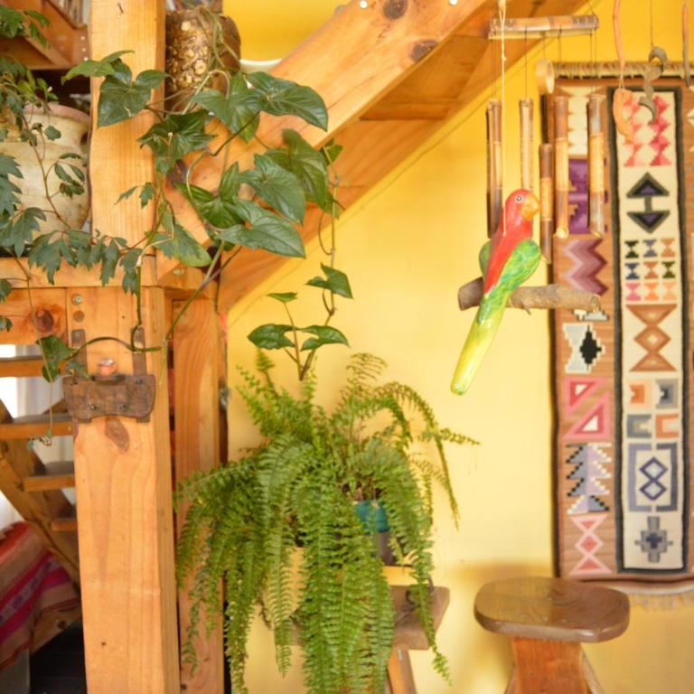 Casa Marisa - Casa - 7