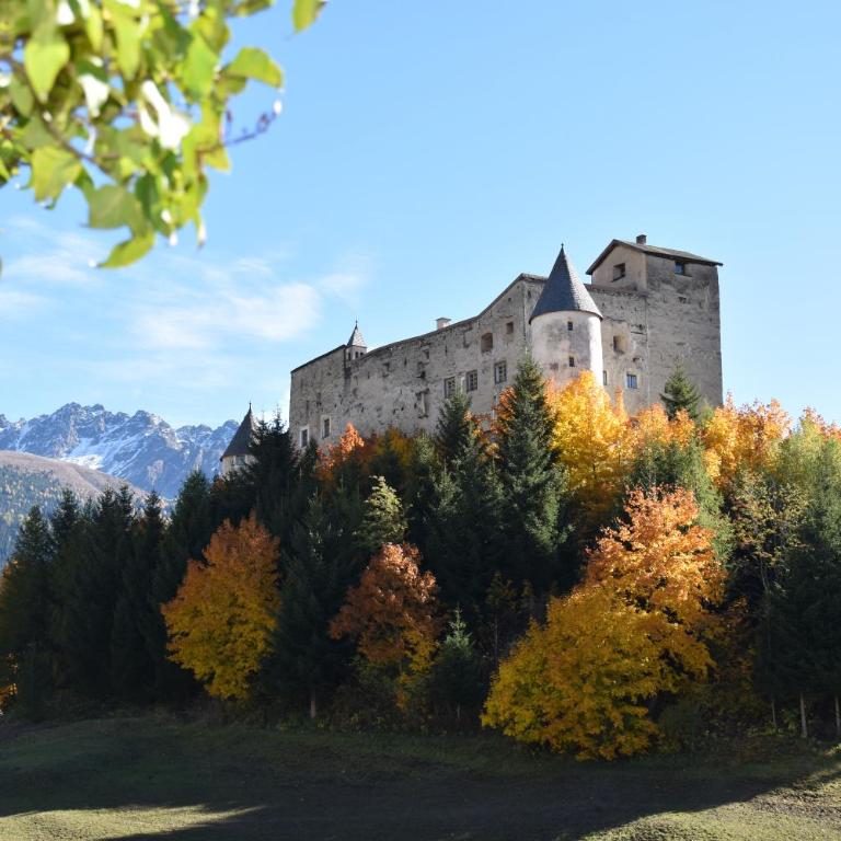 Haus Vlcek - Apartment mit Blick auf die Berge - 18