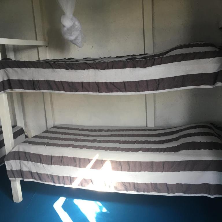 Hostel Albatros - Bed in 6-Bed Mixed Dormitory Room - 3