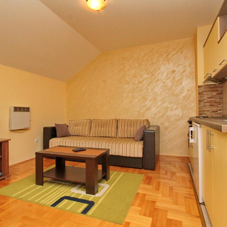 Apartments Vila Velickovic - One-Bedroom Apartment - 29
