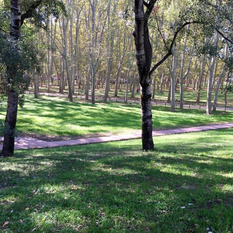 PISO CÉNTRICO DE 100 M2 - Apartamento con balcón - 24