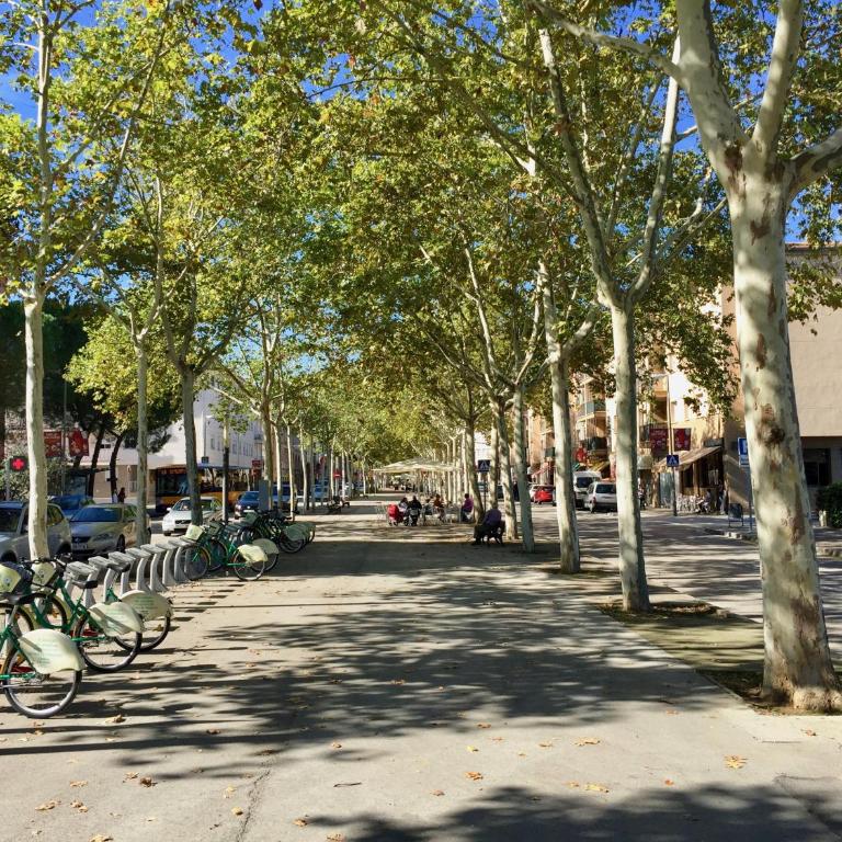 PISO CÉNTRICO DE 100 M2 - Apartamento con balcón - 16