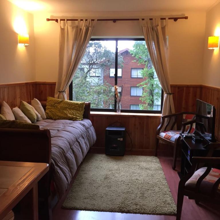 Natulareza y relajo-muy cercano al centro de Pucón - Apartamento con vistas al jardín - 7