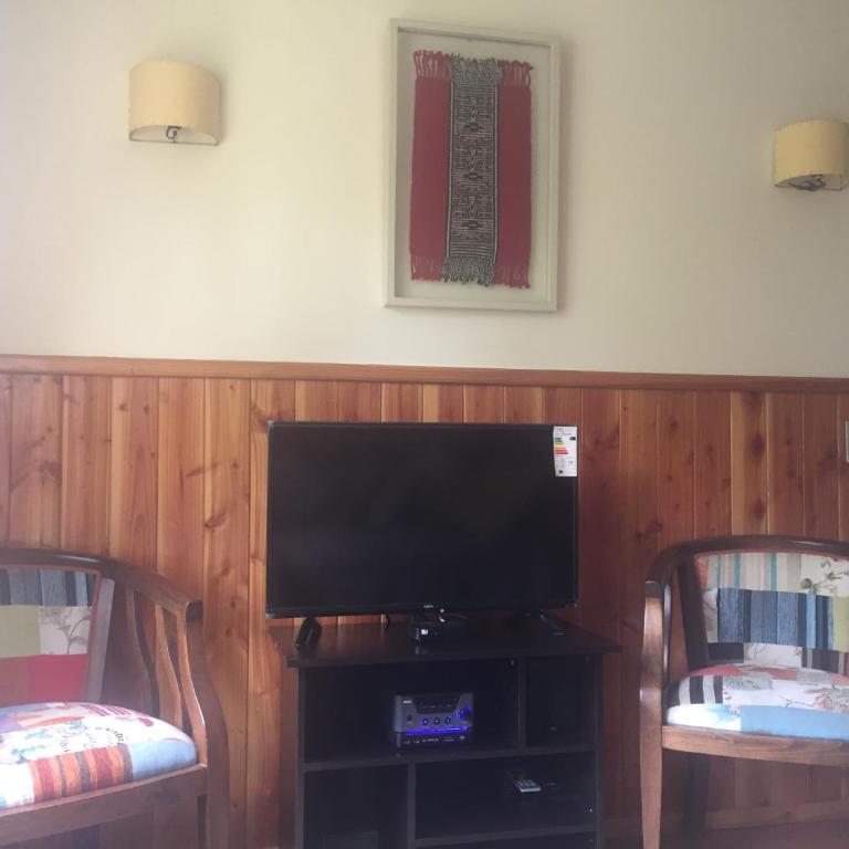 Natulareza y relajo-muy cercano al centro de Pucón - Apartamento con vistas al jardín - 12
