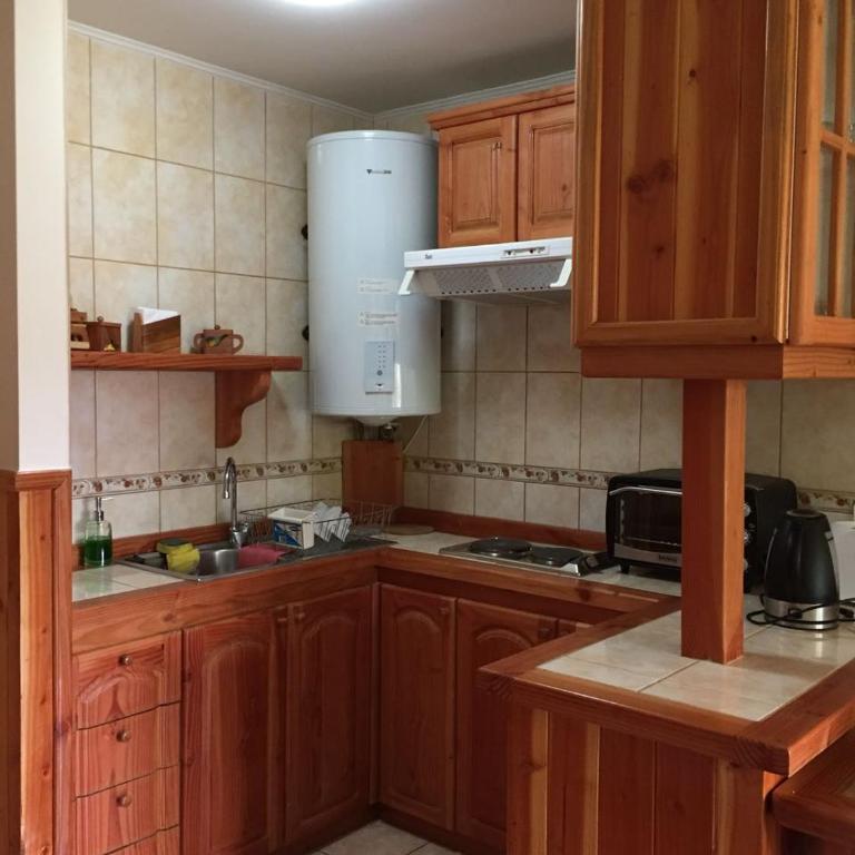 Natulareza y relajo-muy cercano al centro de Pucón - Apartamento con vistas al jardín - 11