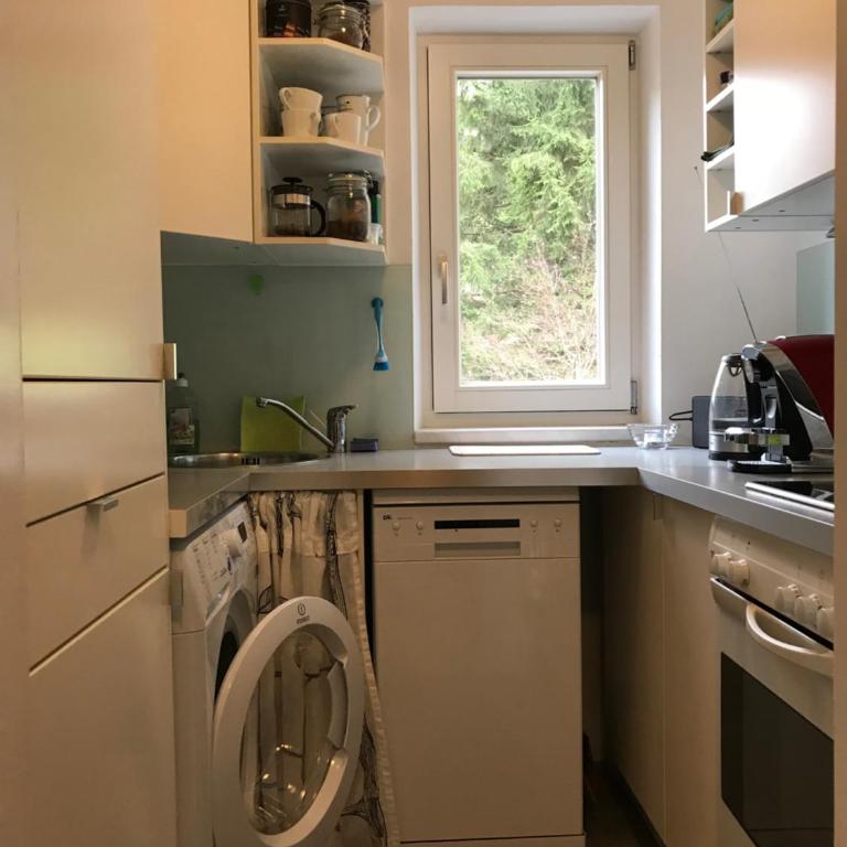 Apartment Gisi - Apartment mit Blick auf die Berge - 42