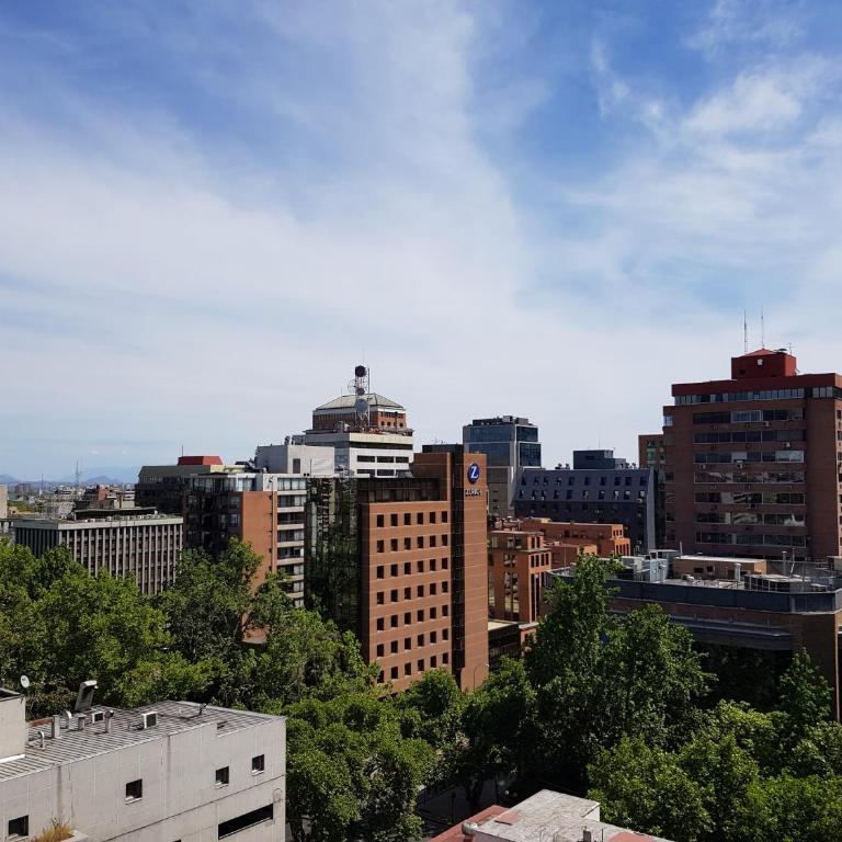 Pedro de Valdivia Apartment Providencia - Apartamento - 27