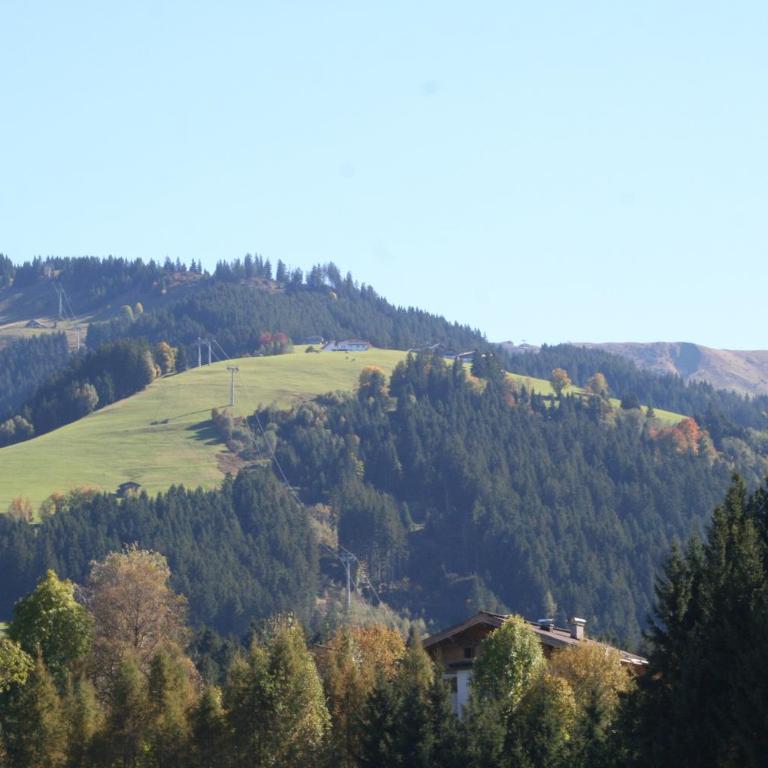 Landhaus Eder - Apartment mit Gartenblick - 51