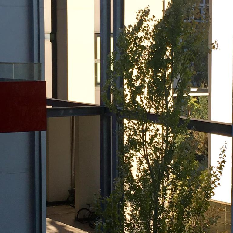 Loft Giulietta - Loft - 20