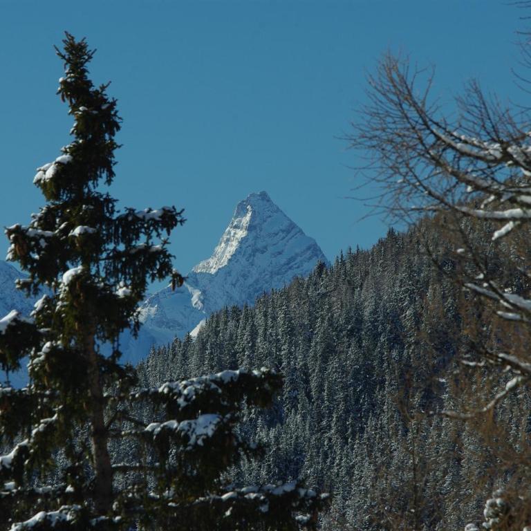 Ferienwohnung in Davos - Apartment mit Blick auf die Berge - 16