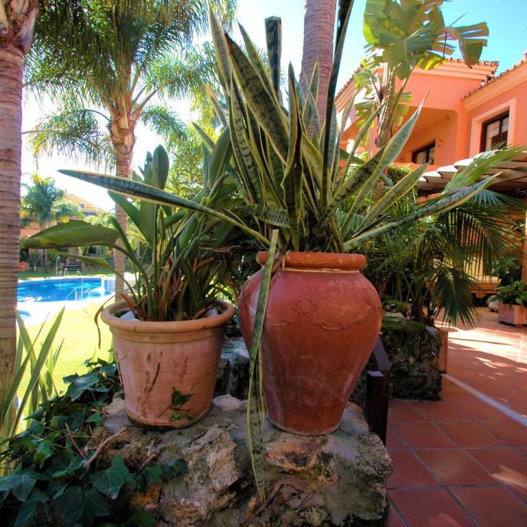 Villa Victoria - Villa Deluxe - 58