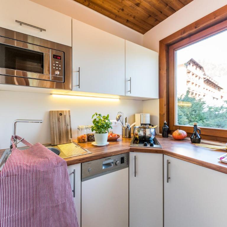 Gästehaus Schusser an der Therme, Frühstück, Doppelzimmer und Ferienwohnung - Großes Apartment mit 1 Schlafzimmer - 3