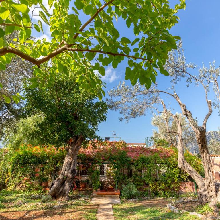 Villa Violetta - Two-Bedroom House - 30