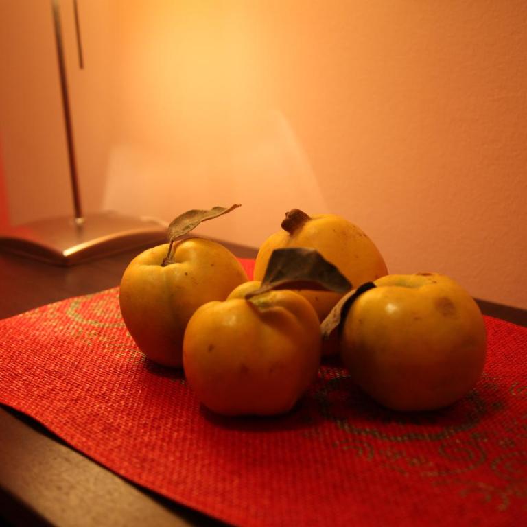 Momo's studio apartment Subotica - Studio Apartment - 16