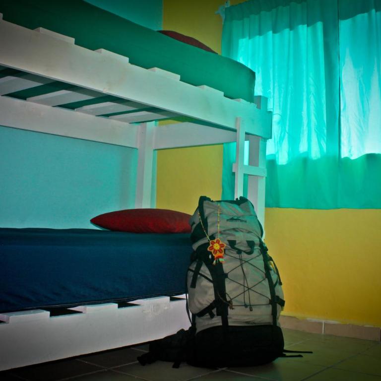 Tres Mundos Hostel - Bed in 10-Bed Mixed Dormitory Room - 2