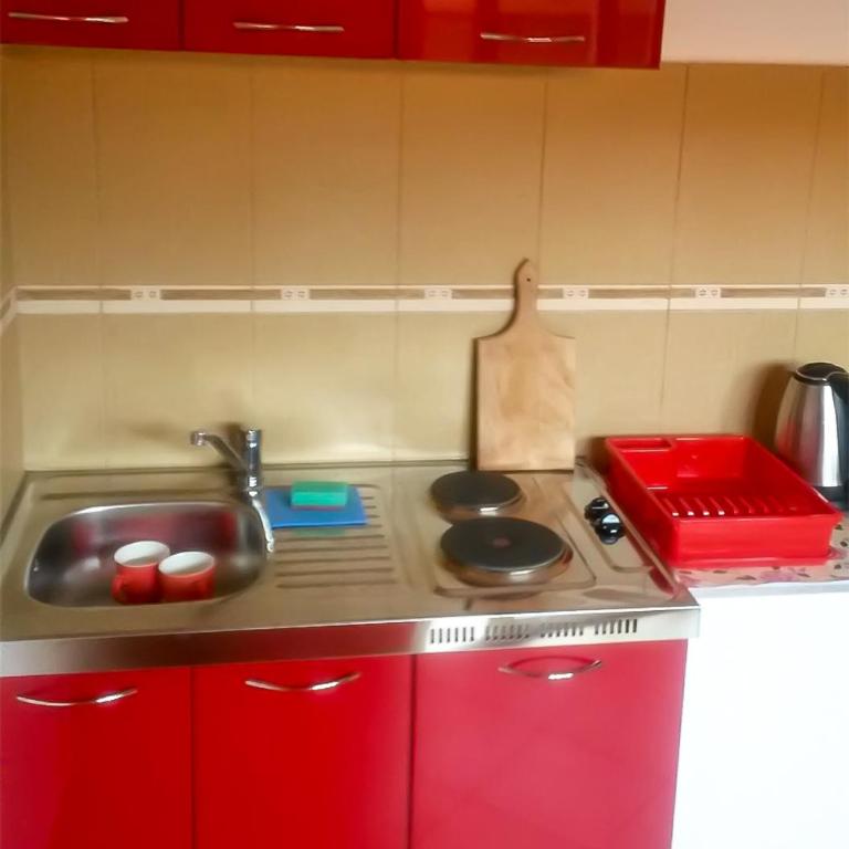 Apartments Sergej - Apartman sa Terasom - 3